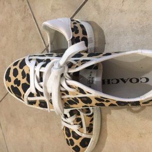 Coach Low Top Leopard sneakers